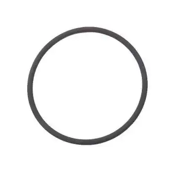 0PB115499A Oil Filter Housing O-Ring